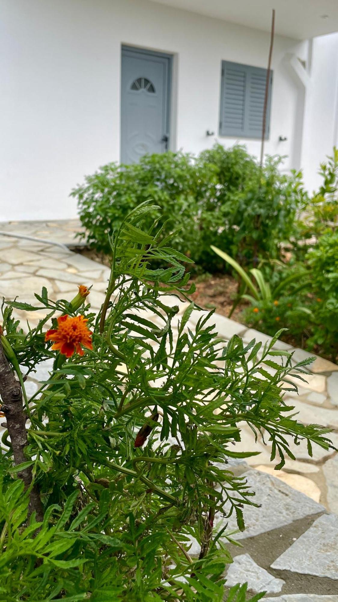 Tasos Rooms Himare Exterior photo